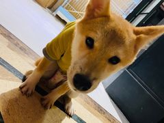 -猫色咖啡·猫咖