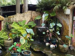 门面-园林美食城·本土农家菜(杨和镇店)