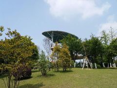 -铁山坪森林公园