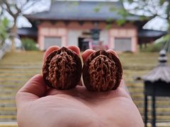 -博鳌禅寺