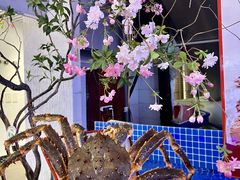 -驻海渔市(置信店)