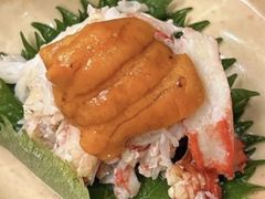-鮨龍