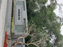 -王借岗森林公园