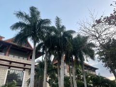 -三亚海棠湾万丽度假酒店