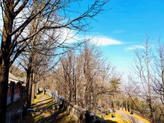 -阳台山自然风景区