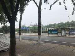 -新乡杨记红焖羊肉火锅(天坛南门店)
