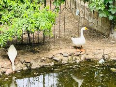 -丽泽山庄·生态怀柔菜·虹鳟鱼(红螺寺店)