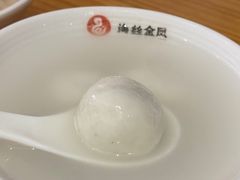 -海丝金凤(金鱼店)