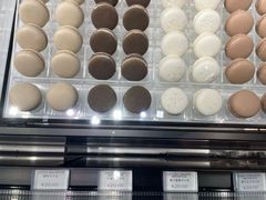 -BLACKSWAN黑天鹅(环球店)