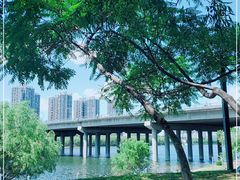 -长白岛森林公园