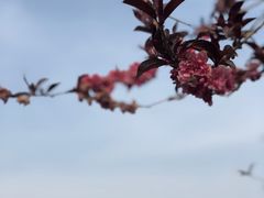 -西安浐灞国家湿地公园