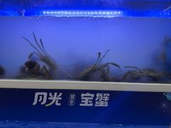 -蟹状元大闸蟹·年货·粽子(成都成华店)