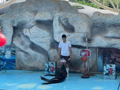 -泉州海丝野生动物世界