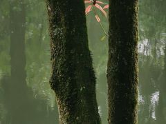 -龙苍沟森林公园