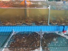 -蓝珊甄选海鲜自助·火锅大排档(近阿那亚店)