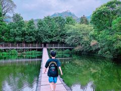 -黄陂区野村谷景区