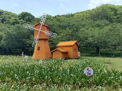 -苏州上方山国家森林公园
