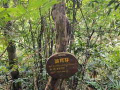 -海南热带雨林国家公园吊罗山景区
