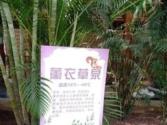 -龙达温泉生态城