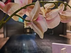 -和一料理(安阳店)