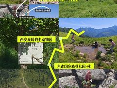 -秦岭终南山世界地质公园翠华山景区