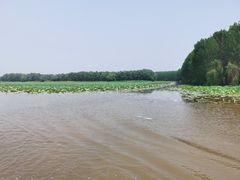 -微山湖红荷湿地景区