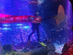 -沈阳海洋探索中心