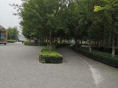 -大兴滨河森林公园