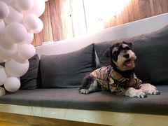 -春树下·树屋花房西餐厅(罍街AS1980店)