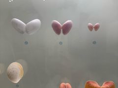 -青岛贝壳博物馆