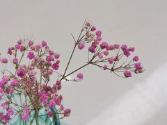 -山东省千佛山医院