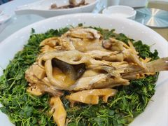 -臻品汇-镇江菜-河豚(大润发店)