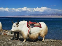 -青海湖国家重点风景名胜区