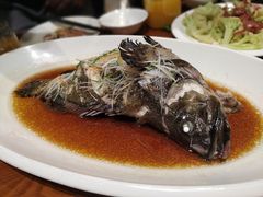 -頂好酒家·经典粤菜(海信广场店)