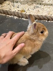 -Zoolung Zoolung动物主题公园(海信广场店)