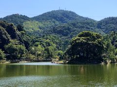 -广州市帽峰山景区