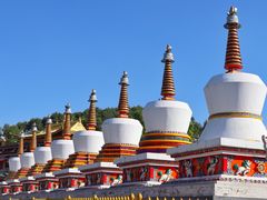 -塔尔寺