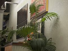 -567·密室逃脱(大良店)