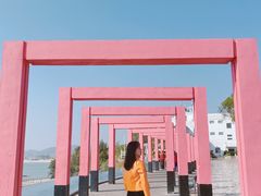 -漳州滨海火山岛自然生态风景区