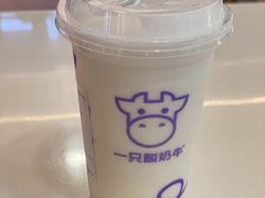 -一只酸奶牛(群光店)