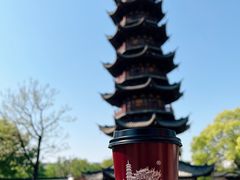 -龙华寺