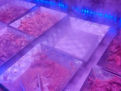 -炭烤麻里·臻选自助烤肉料理(观音桥大融城店)
