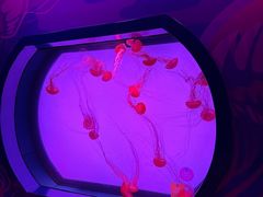 -沈阳海洋探索中心