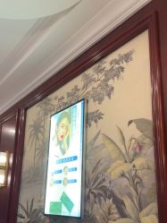 -南京医科大学友谊整形外科医院