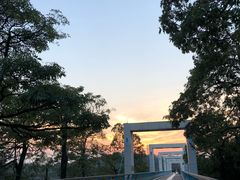 -东莞植物园