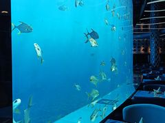 -瑞德姆美人鱼海底演艺主题餐厅(亚龙湾店)