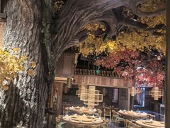-老凯俚酸汤鱼(多彩城店)
