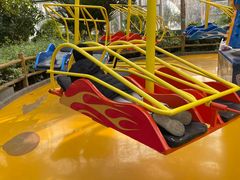 -南宫五洲植物乐园