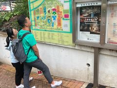 -九龙公园