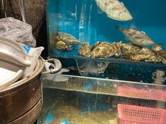 -桂马·日本料理·海胆·海鲜饭·酒场(民主广场店)